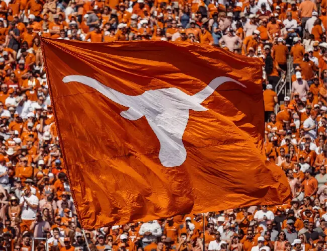UT Austin flag